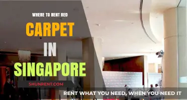 Where to Rent Red Carpet in Singapore: Top Venues and Services