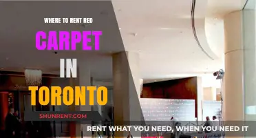 Where to Rent Red Carpet in Toronto: A Comprehensive Guide
