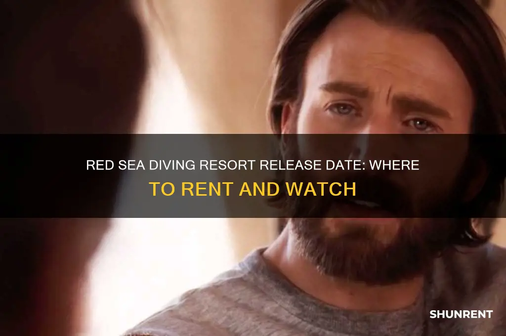where to rent red sea diving resort release date