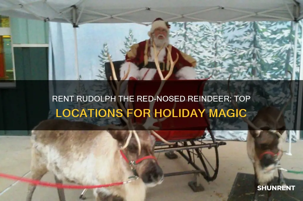 where to rent rudolph the red nosed reindeer
