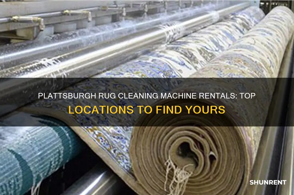 where to rent rug cleaning machines in plattsburgh