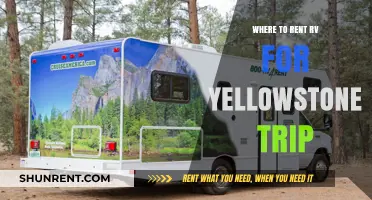 Exploring Yellowstone: Your Guide to RV Rentals for an Unforgettable Trip