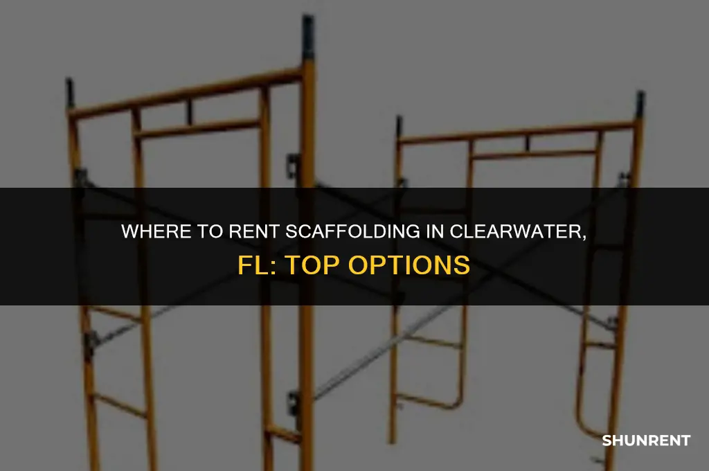 where to rent scaffolding in clearwater fl