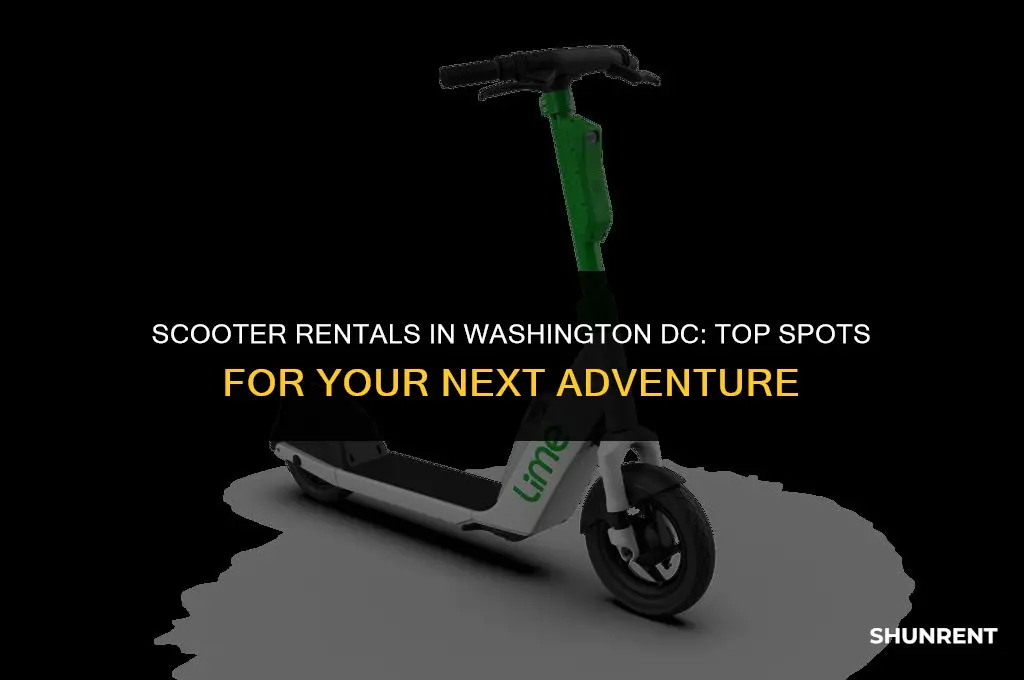 where to rent scooters in washington dc