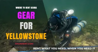 Dive into Yellowstone: Your Guide to Renting Scuba Gear