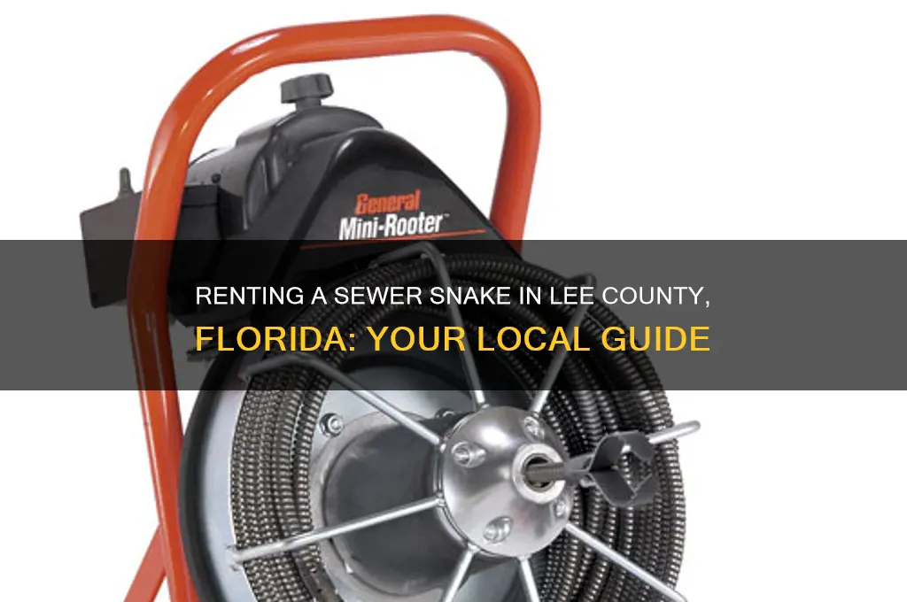 where to rent sewer snake in lee county florida