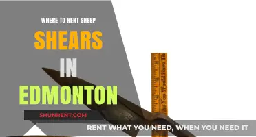 Edmonton's Best Spots for Renting Sheep Shears: A Comprehensive Guide