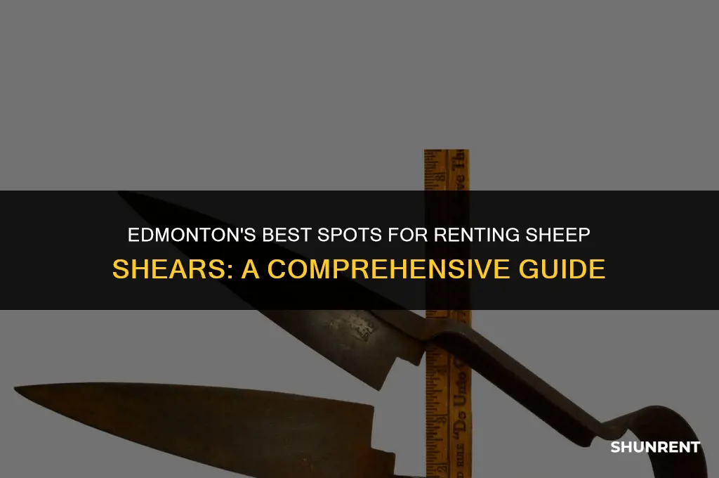 where to rent sheep shears in edmonton