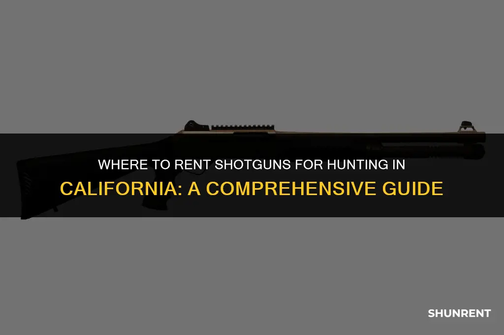where to rent shotgun for hunting california