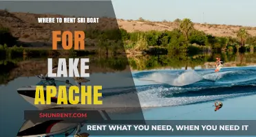 Top Ski Boat Rental Spots for Lake Apache Adventures