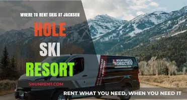 Best Ski Rental Shops Near Jackson Hole Resort for Your Adventure