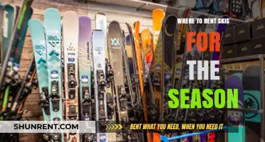 Top Spots for Seasonal Ski Rentals: A Comprehensive Guide