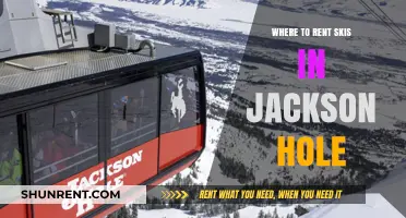 Top Spots for Ski Rentals in Jackson Hole: A Comprehensive Guide