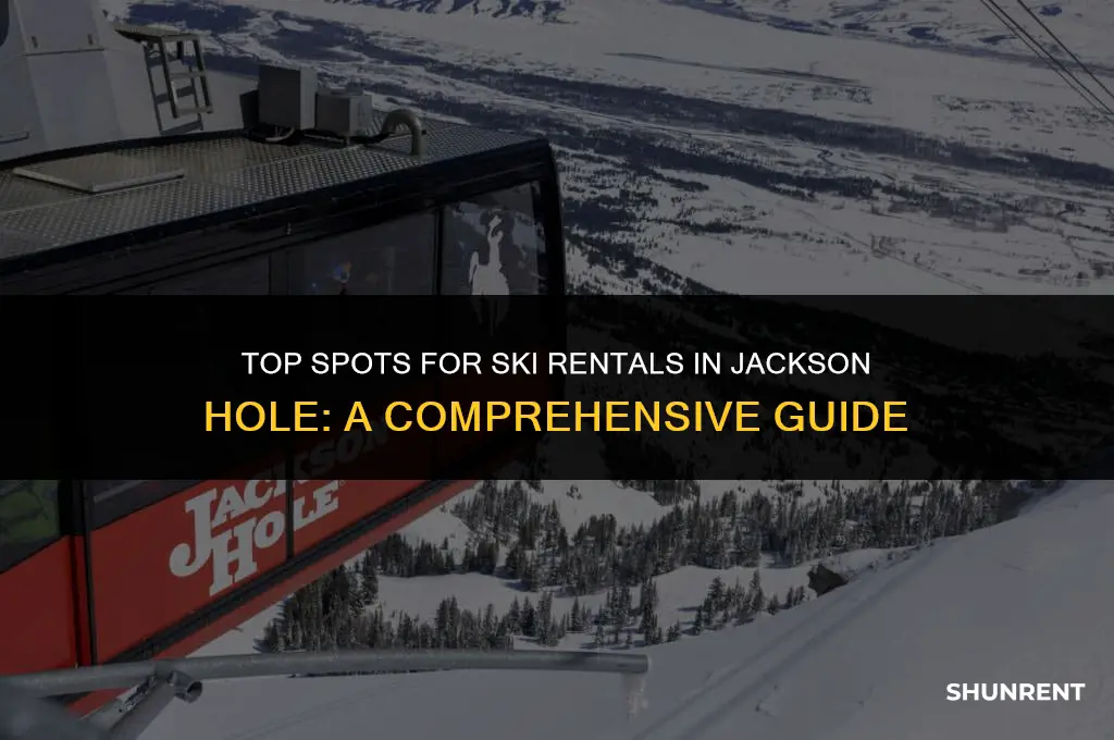 where to rent skis in jackson hole