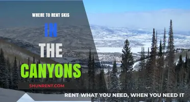 Ski Rentals in the Canyons: Your Ultimate Guide to the Best Spots