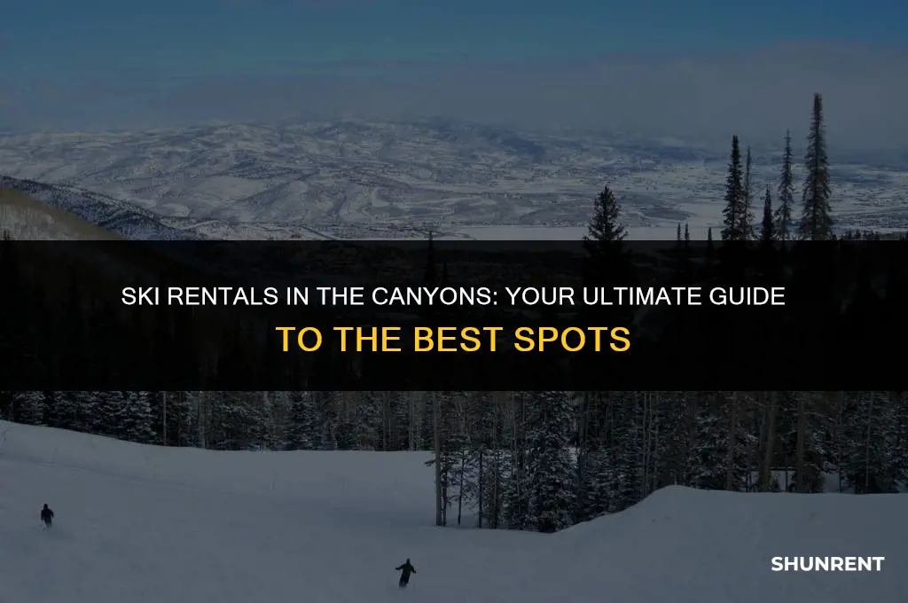 where to rent skis in the canyons