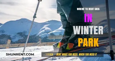 Top Spots for Ski Rentals in Winter Park: A Comprehensive Guide