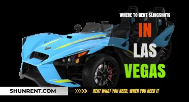 Slinging Fun in Sin City: Your Guide to Renting Slingshots in Las Vegas