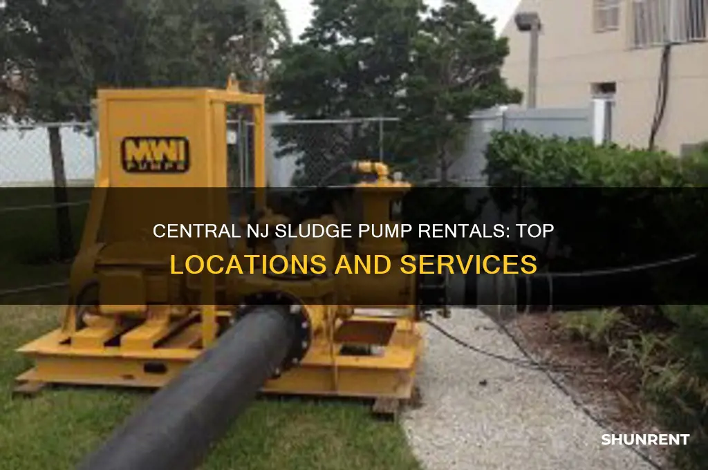 where to rent sludge pumps in central nj