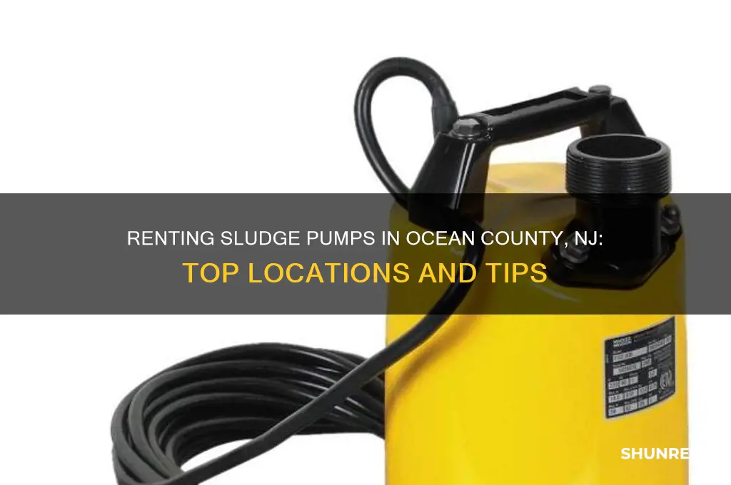 where to rent sludge pumps in ocean county nj durante