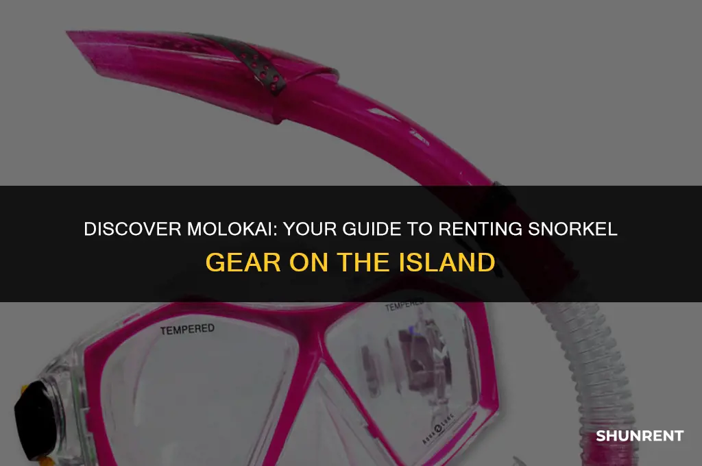 where to rent snirkel gear on molokai