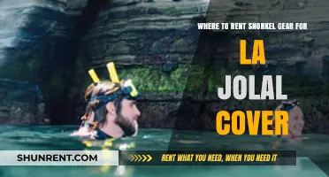Top Snorkel Gear Rental Spots in La Jolla Cove Guide