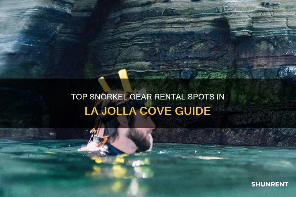 where to rent snorkel gear for la jolal cover