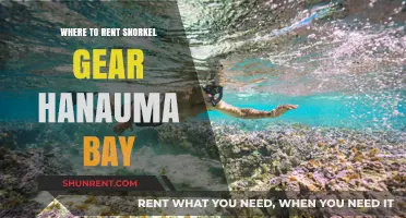 Discover Hanauma Bay: Your Guide to Renting Snorkel Gear Nearby