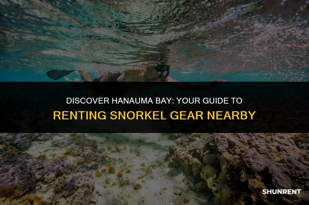 where to rent snorkel gear hanauma bay