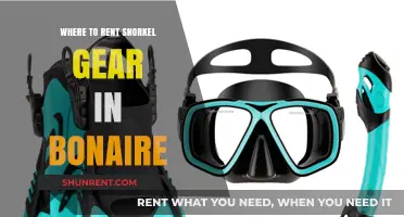 Discover Bonaire's Best Spots for Snorkel Gear Rentals