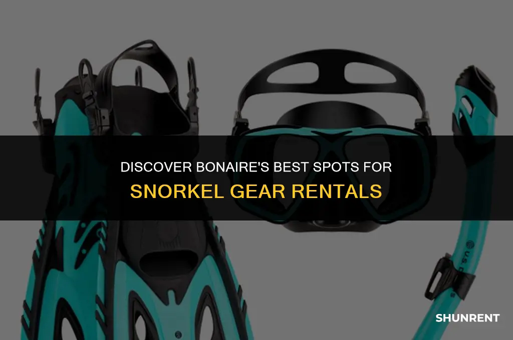 where to rent snorkel gear in bonaire