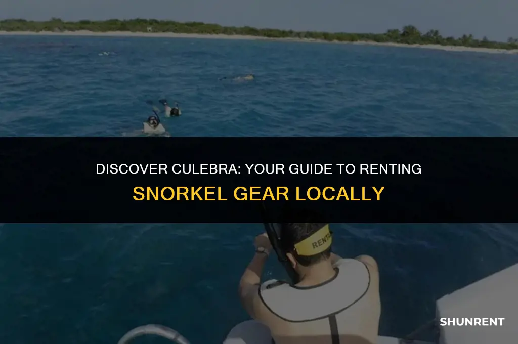 where to rent snorkel gear in culebra