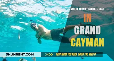 Top Snorkel Gear Rental Spots in Grand Cayman: Dive In!