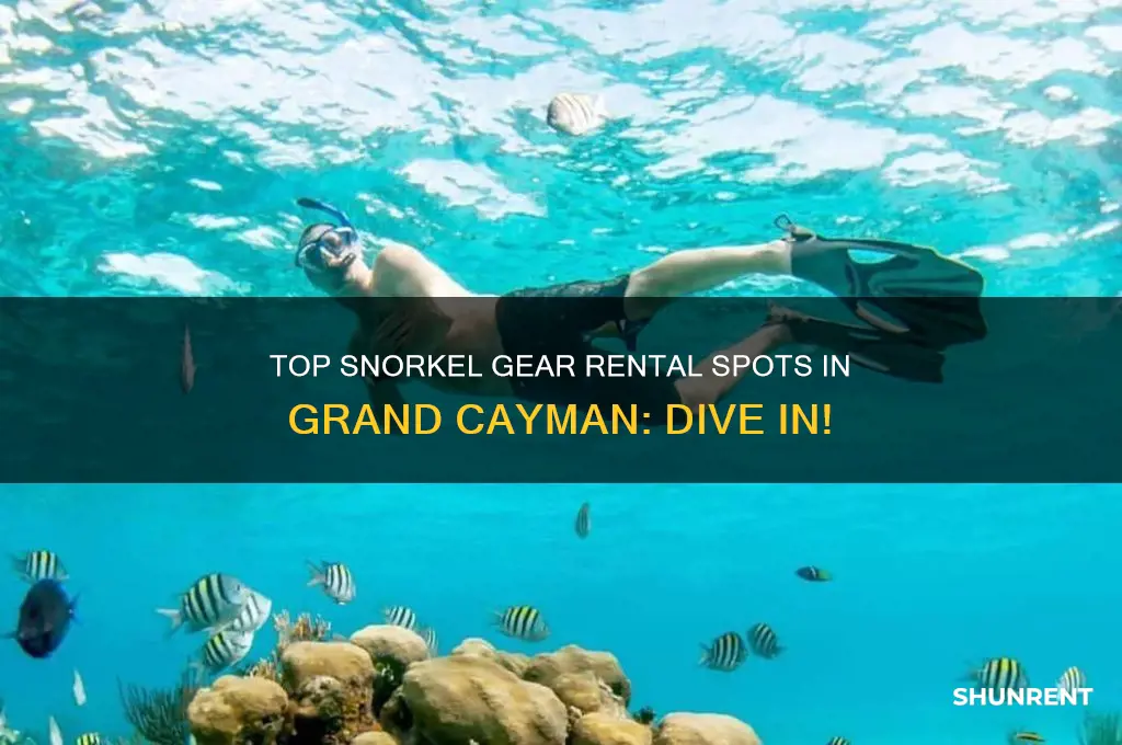 where to rent snorkel gear in grand cayman
