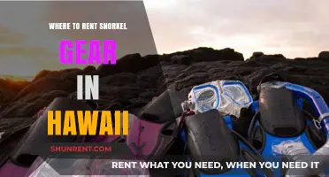 Discover Hawaii's Best Spots for Snorkel Gear Rentals