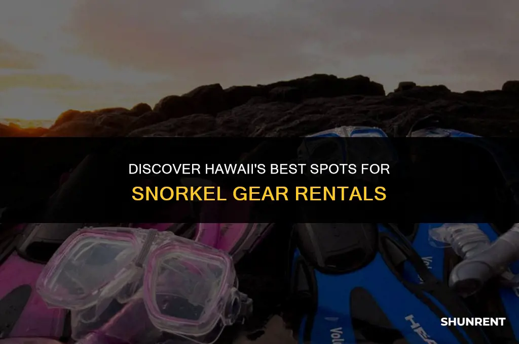 where to rent snorkel gear in hawaii