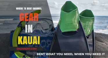 Discover Kauai's Best Spots for Snorkel Gear Rentals