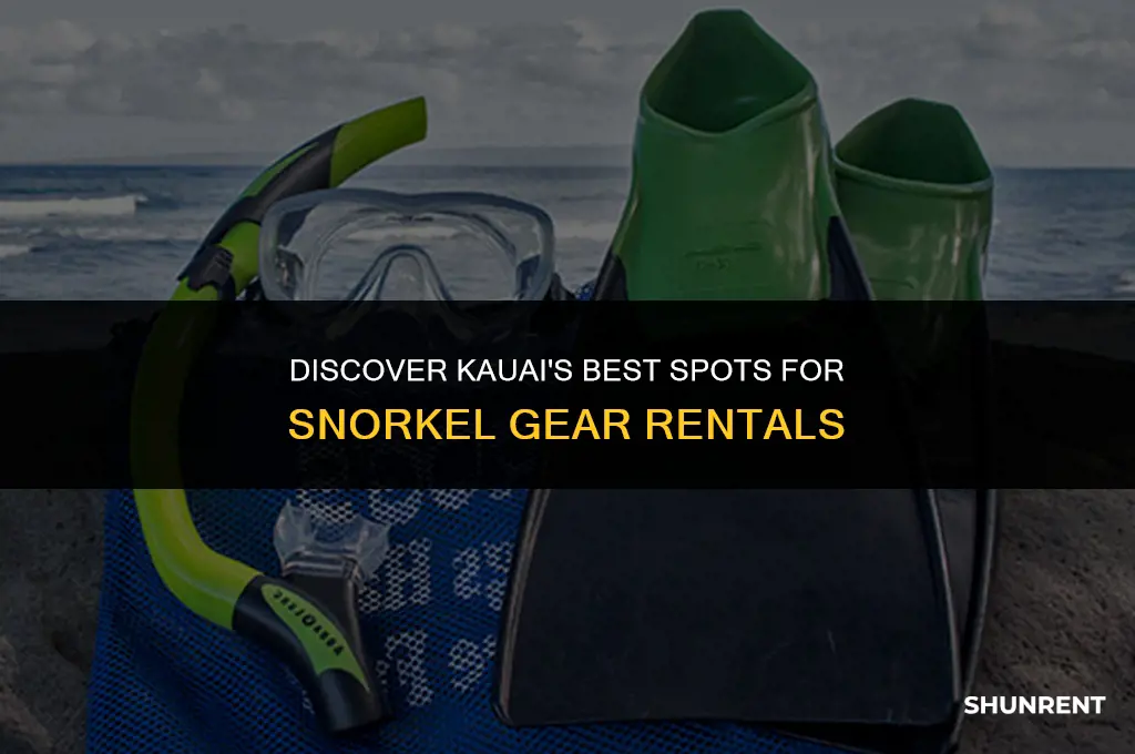 where to rent snorkel gear in kauai