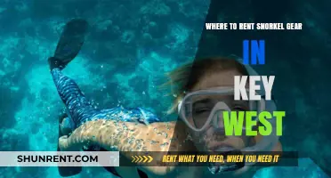 Top Snorkel Gear Rental Spots in Key West for Adventure Seekers