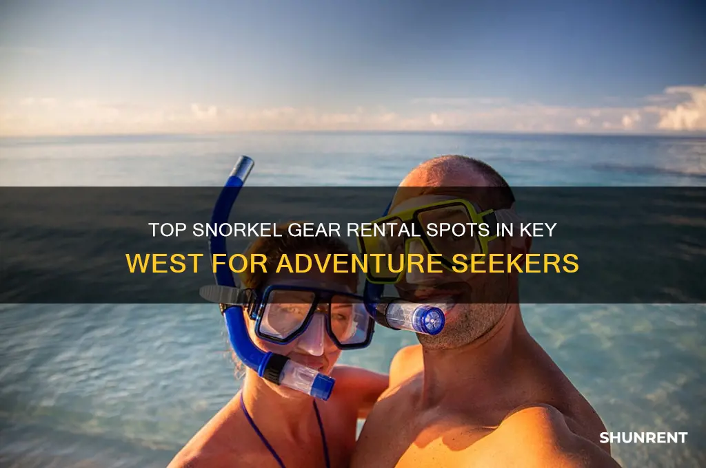 where to rent snorkel gear in key west