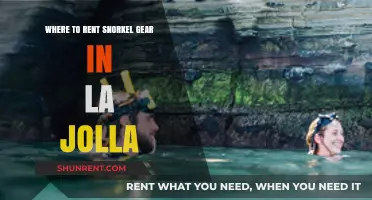 Best Spots to Rent Snorkel Gear in La Jolla