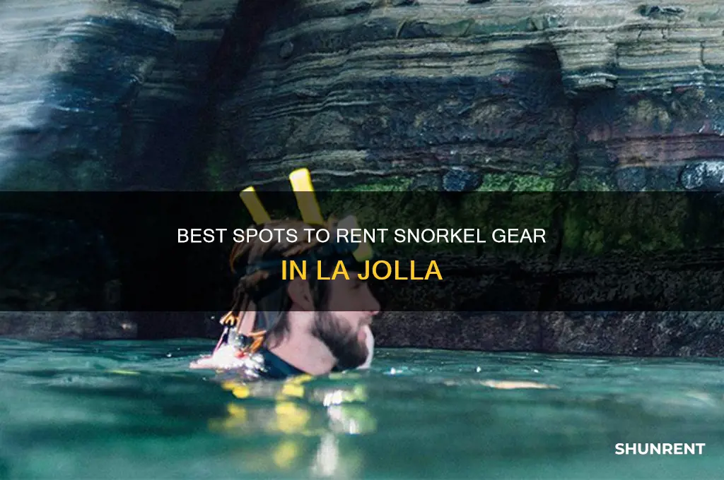 where to rent snorkel gear in la jolla