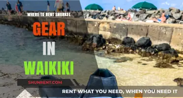 Discover Waikiki's Best Spots for Snorkel Gear Rentals