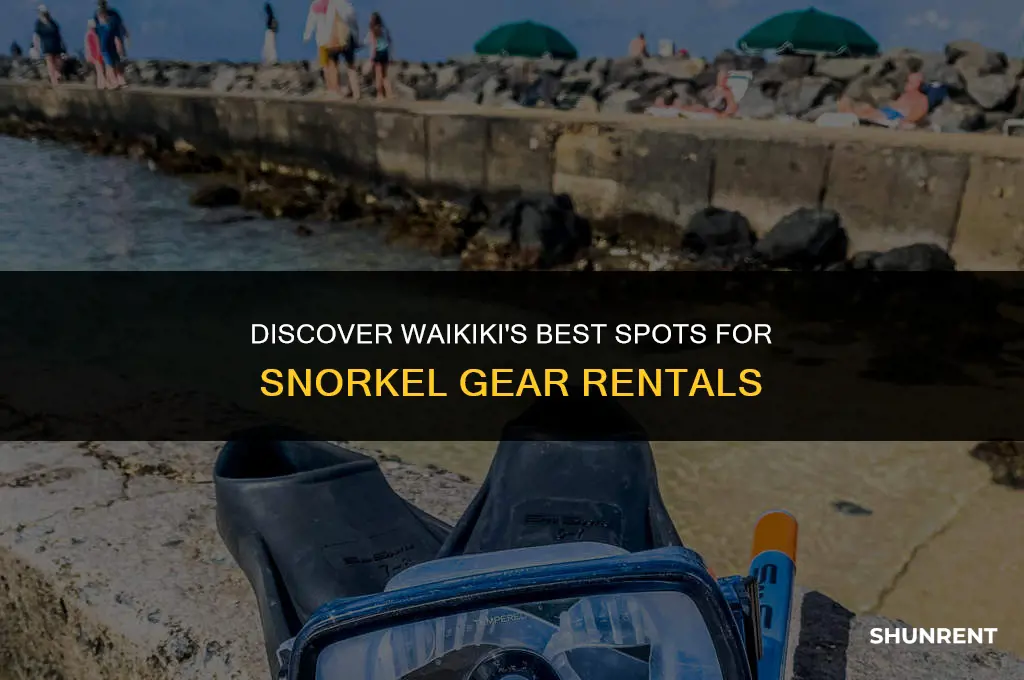where to rent snorkel gear in waikiki