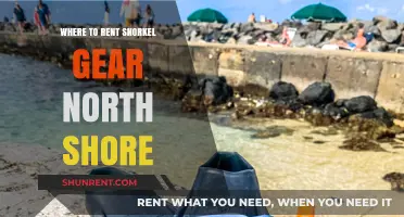 Discover the Best Spots to Rent Snorkel Gear on the North Shore