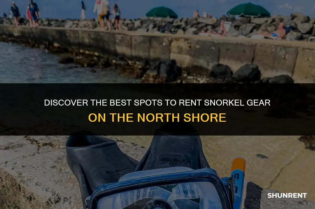 where to rent snorkel gear north shore