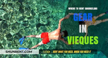 Discover Vieques: Your Guide to Renting Snorkeling Gear Locally