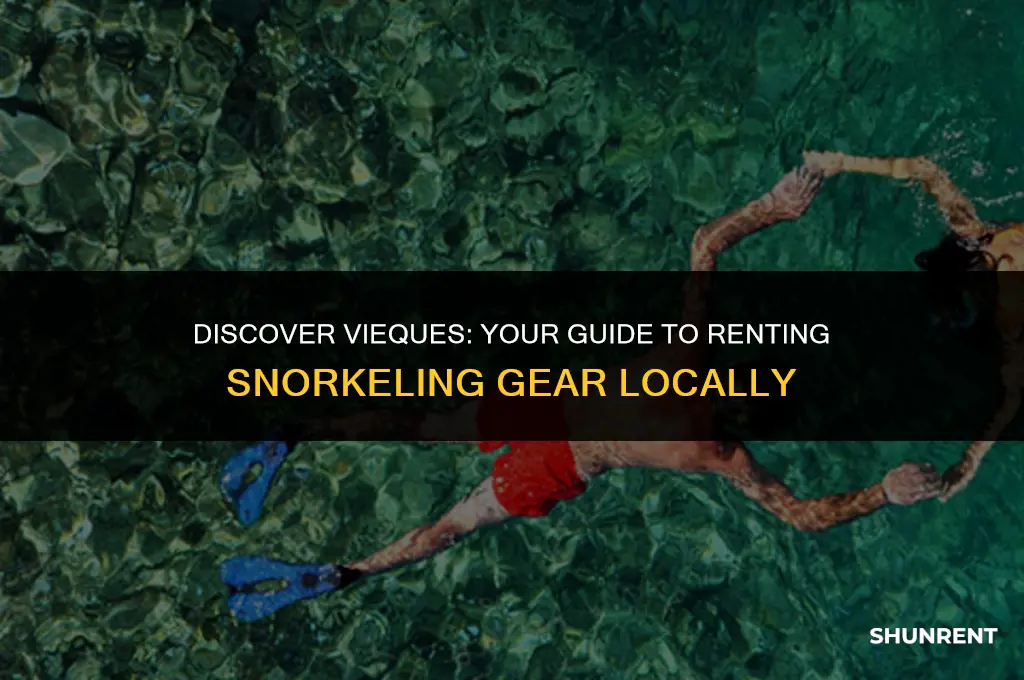 where to rent snorkeling gear in vieques