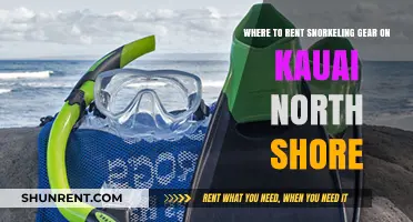 Best Spots to Rent Snorkeling Gear on Kauai's North Shore