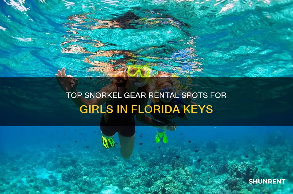 where to rent snorklet girl in florida keys